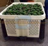*** Sold *** Brand New Macro Shipper (Nestable) Bins