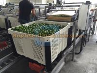 *** Sold *** Brand New Macro Shipper (Nestable) Bins