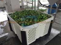 *** Sold *** Brand New Macro Shipper (Nestable) Bins