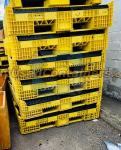 56x48x34 Collapsible Bulk Containers with Drop Doors